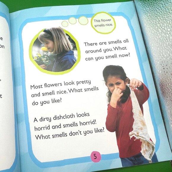 Preschool Book Lot Five Senses Set of 6 Annie Kubler Sally Hewitt Home School - Picture 7 of 16